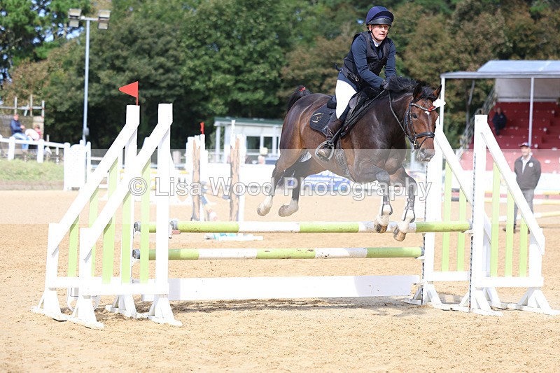 3E7A9155 - Class 9: Senior British Novice/90cm open