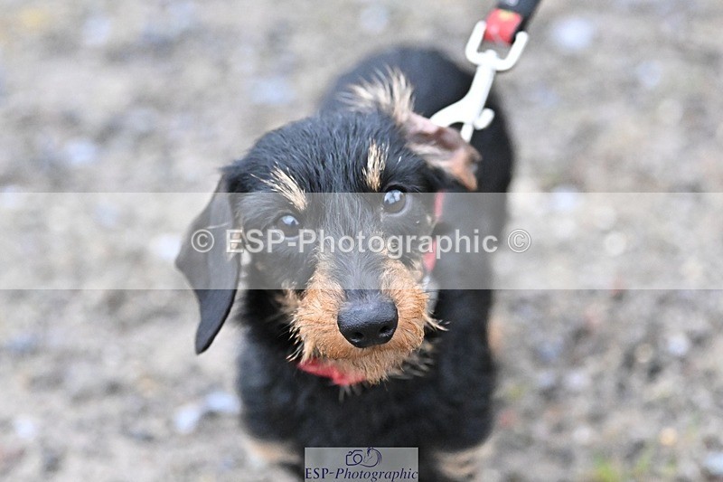 241206-144205-01122 - Naomi