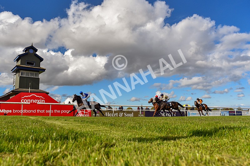 250424-Race 5-Arthurs Realm-3937 - Race 5