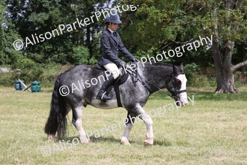 20260614-1978 - Class 21 - Novice Working Hunter Pony