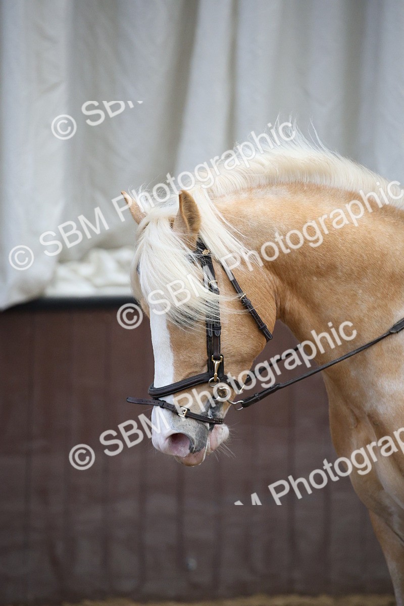 SBM_001291 - Class 5 - 80cm