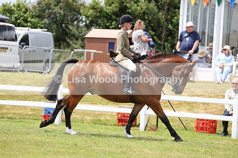 3E7A1949 - Class 10: Open Cob