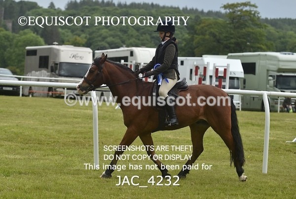 JAC_4232 - WORKING HUNTER CHAMPIONSHIP