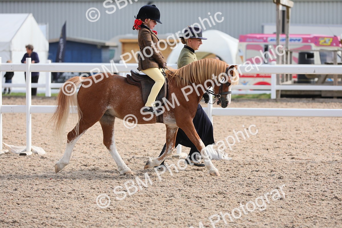 SBM_13989 - Class 309 Lead Rein Pony