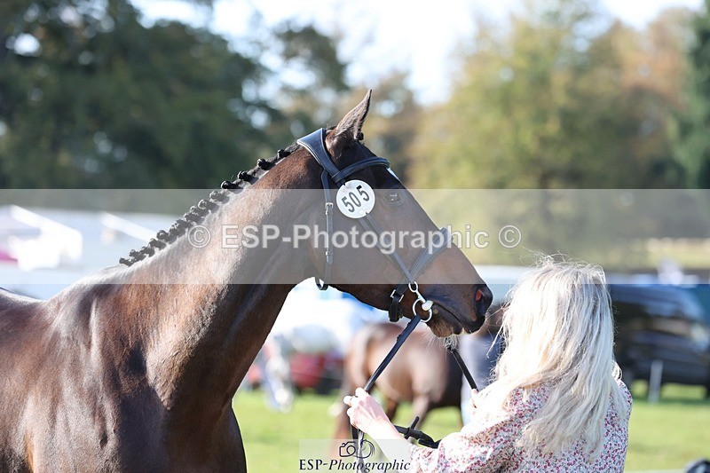 241027-102351-15860 - 505-Abby.James-SNOW.STOPPIN.HIM