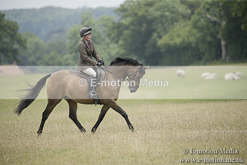 B230619-0623 - Bourne Valley Riding Club Summer Show 23/06/19
