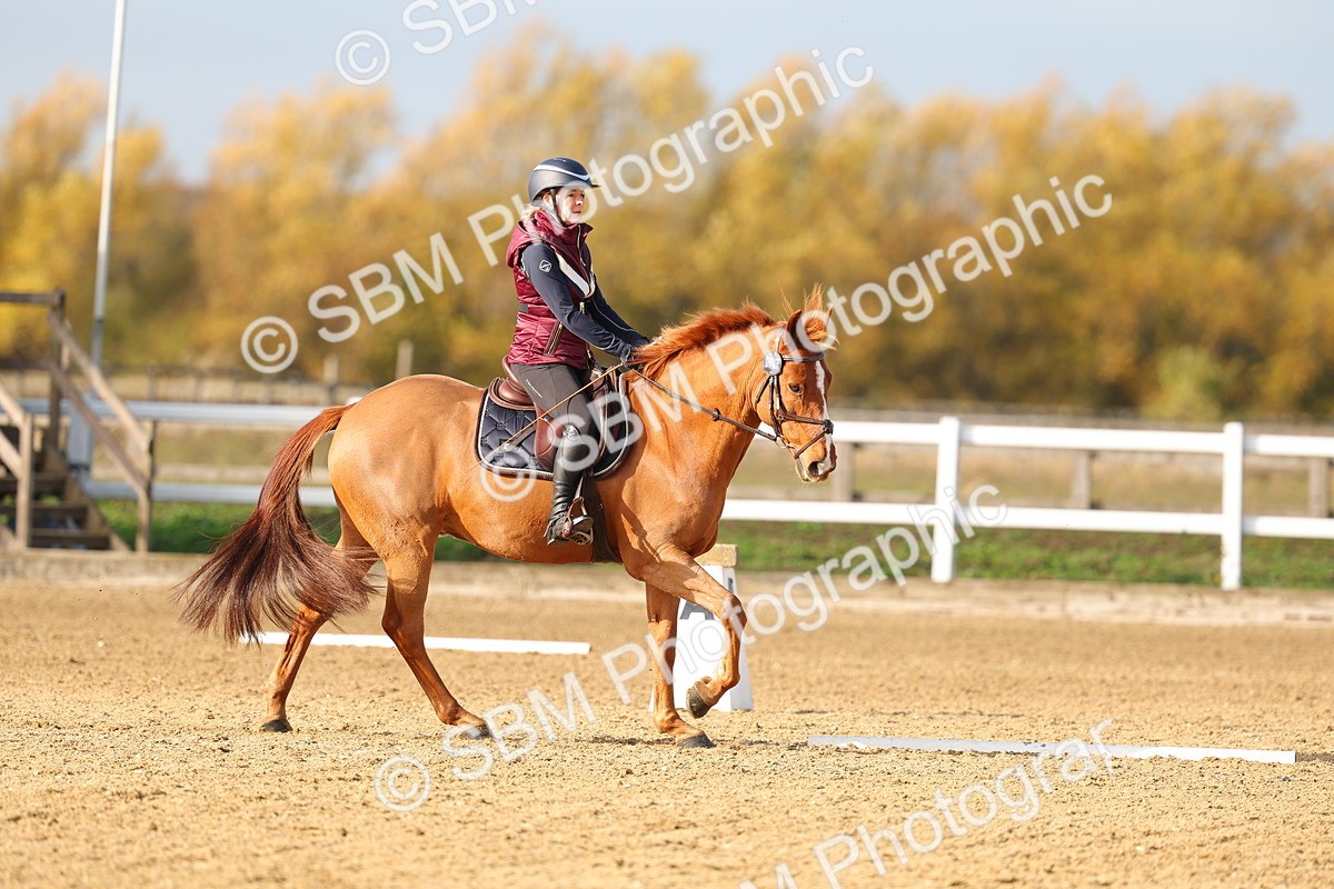 SBM_001176 - Class 13-4-9 - DR P3 CT P3 70cm CT PYO