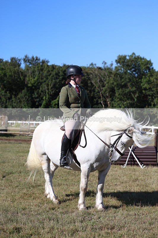 3E7A5357 - Class 2: Working Hunter 60cm