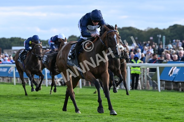 210825-250 Royal Velvet - Race 7 5.20pm British EBF Fillies' Handicap
