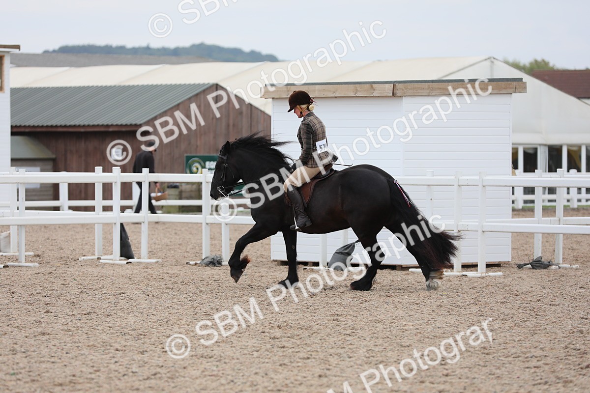 SBM_18086 - Class 316 Best Pony/Rider Combination