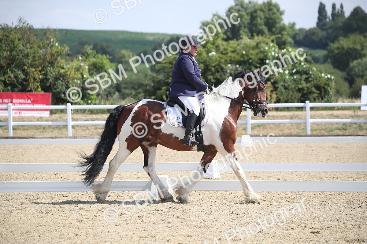 SBM_006004 - Novice 5 - 8.30.10.39