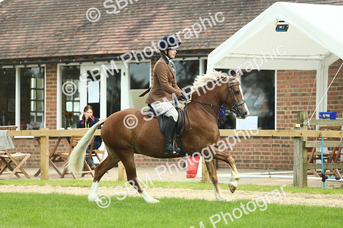 SBM_42814 - S30 - M&M Working hunter Pony