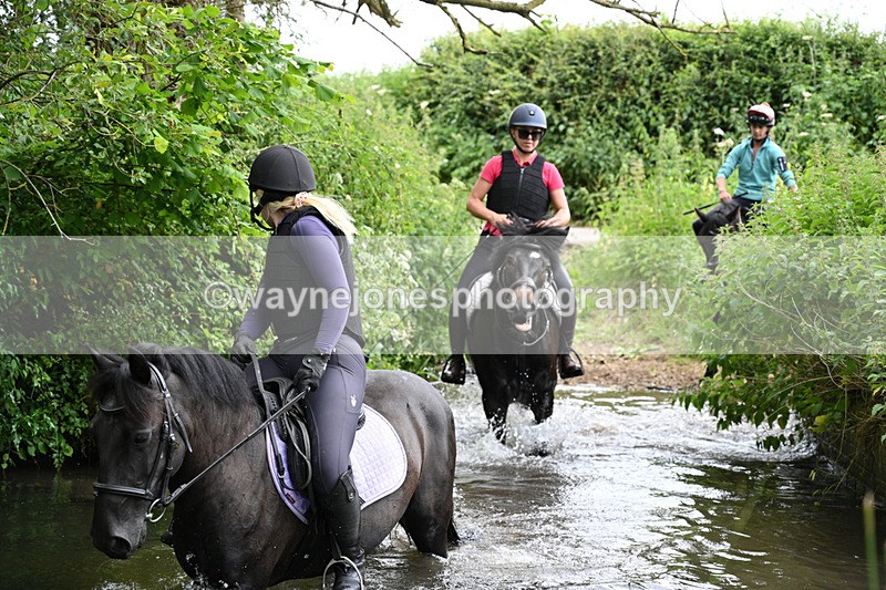 WJ7_2216 - Camera 2 Water Crossing