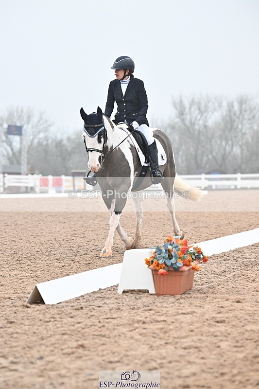 240217A-121108-02137 - 100-Gemma.Pine-Major.IV