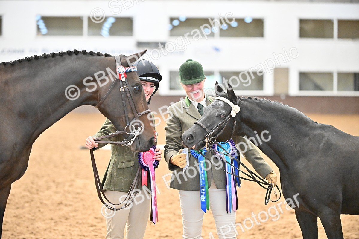 SBM_000752 - Class 14 - SSADL In Hand Championships