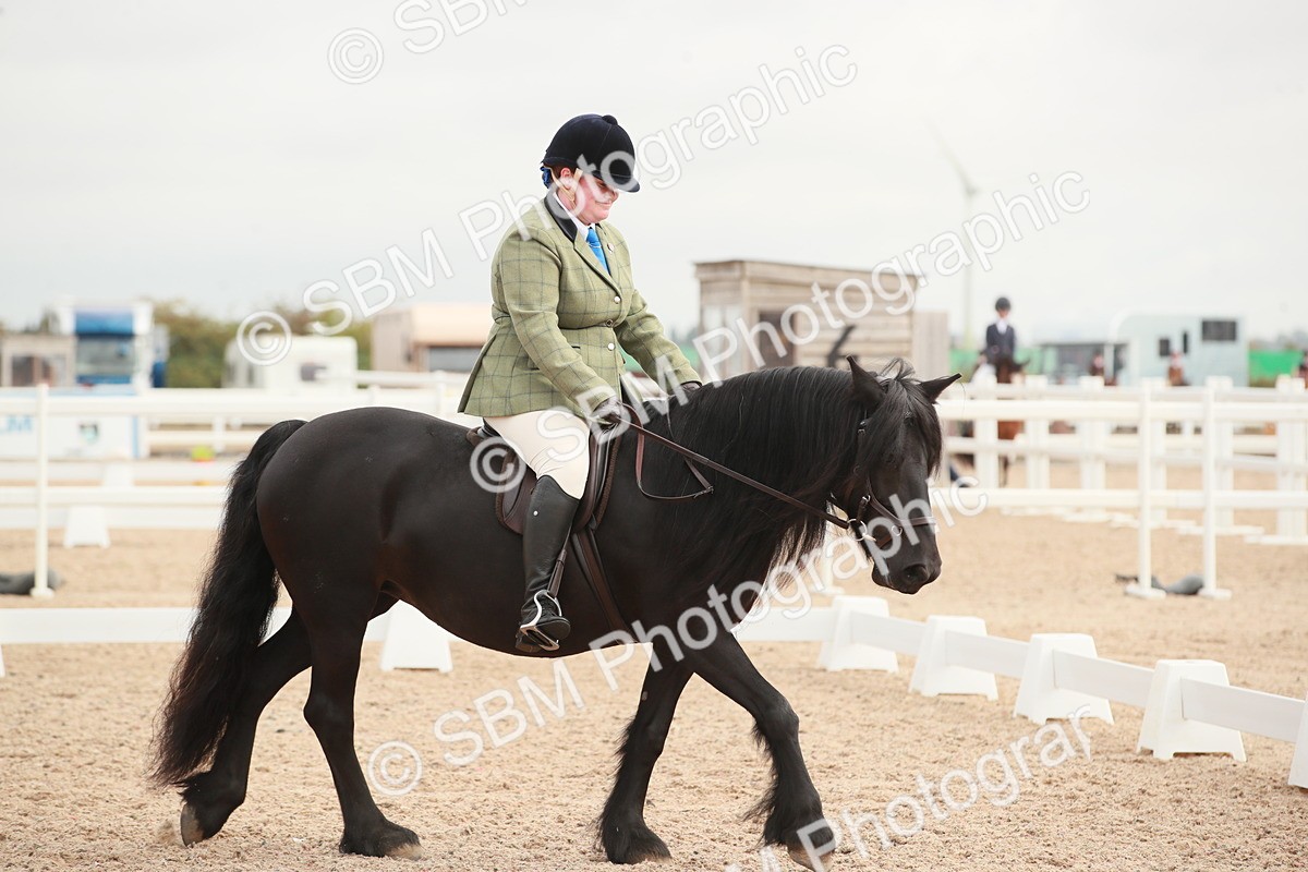 SBM_02562 - Class 30 - Intro 1