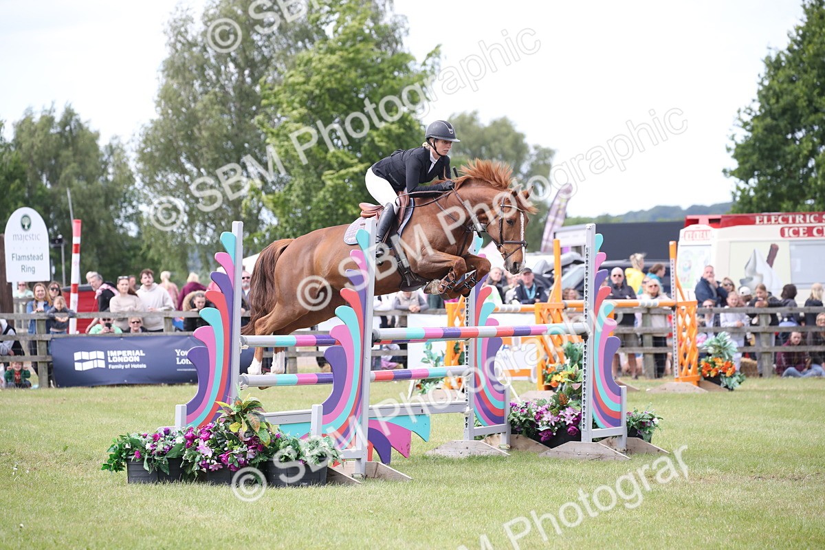SBM_17543 - Class 208 - Senior Foxhunter 1.20m Open