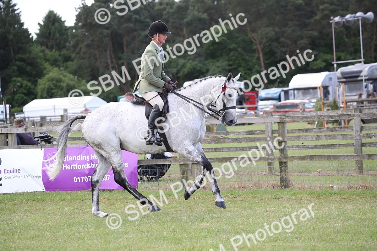 SBM_14182 - Class 113-114 - Retraining of Racehorses Ridden