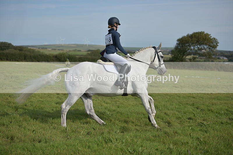 RAY_7686 - Class 2B: Trekenning Open: Dressage