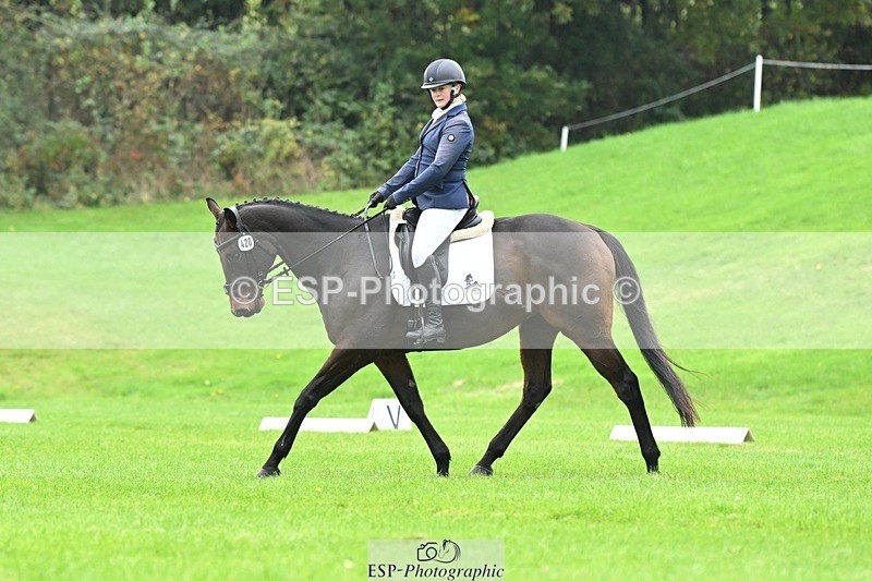 241024-144512-04594 - 420-Pip.Howarth-OTTAVA