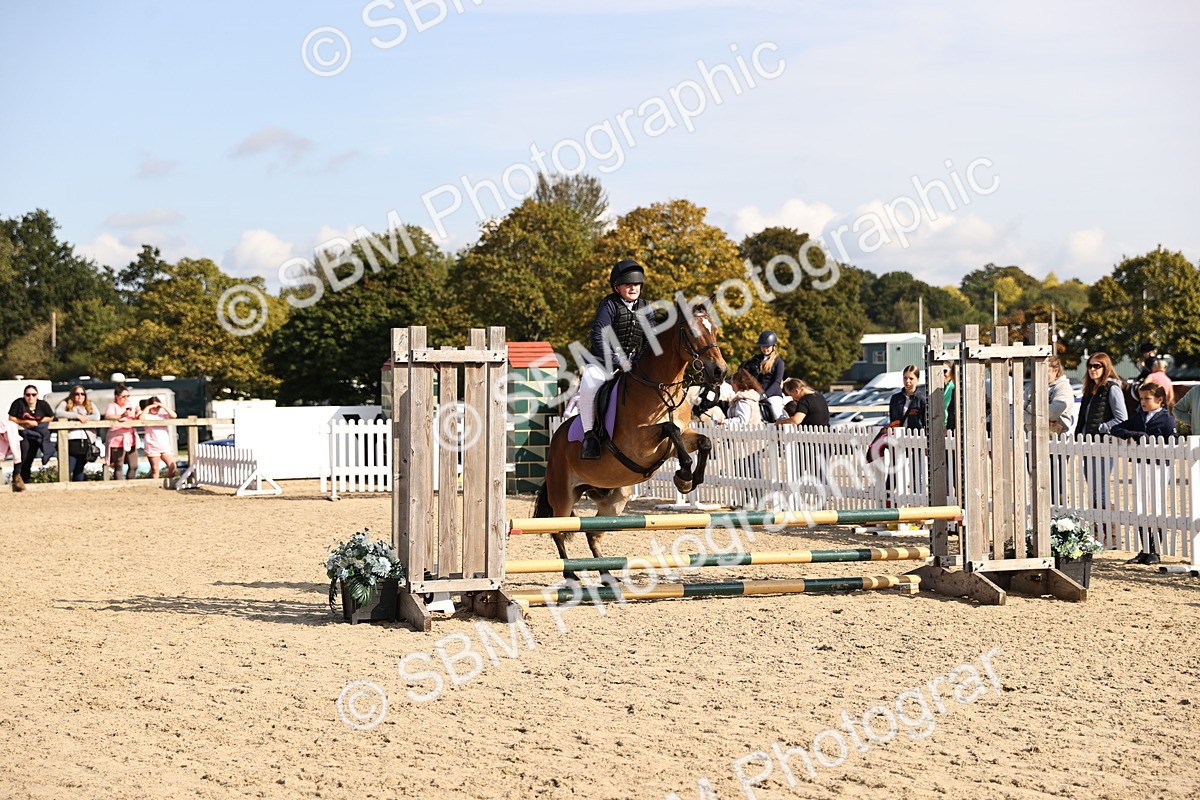 SBM_62008 - J12 - Junior Pony 55cm Championship