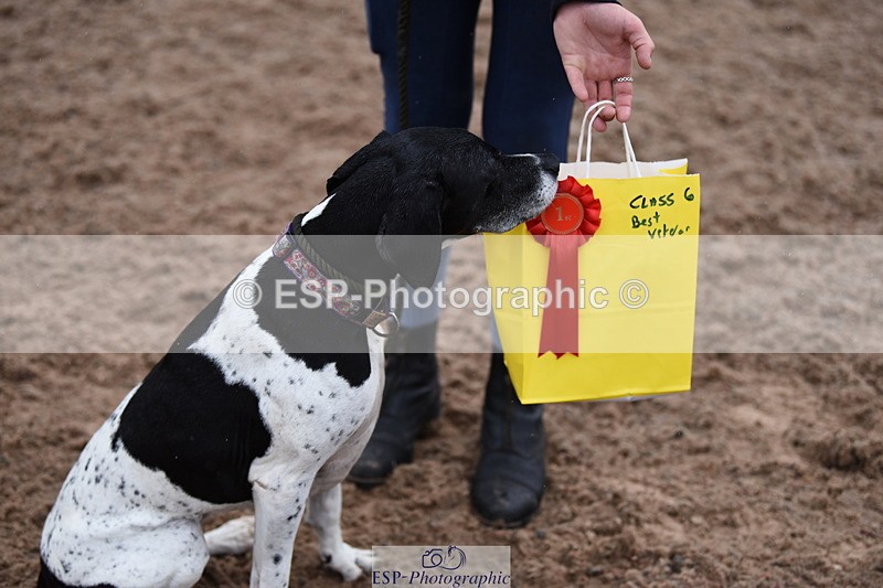 240518A-130258-01257 - Cls 6 Best Veteran