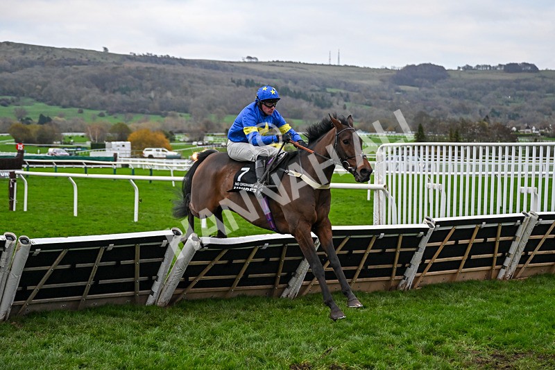 161125-Race 5-No Ordinary Joe-6441 - Race 5
