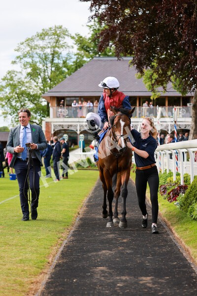 yr21052022r5-38 - Race 5: 4:07pm Phoebe Johnson Celebration EBF Restricted Novice Stakes