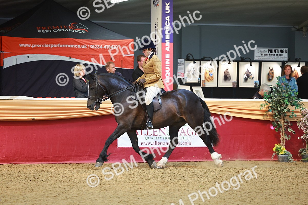 SBM_10679 - Class 103 - HOYS Veteran Qualifier - Ridden Pre Vet