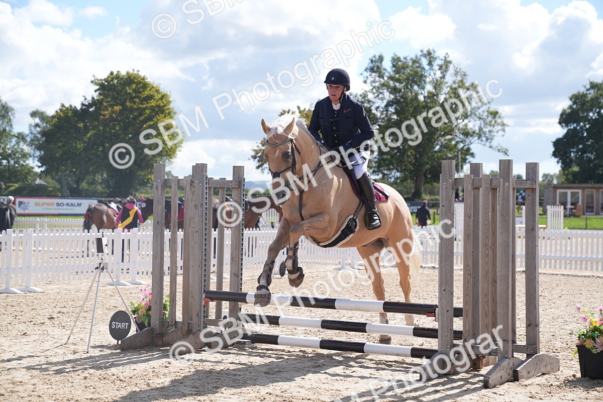 SBM_05091 - J35 Veteran 60cm Championship