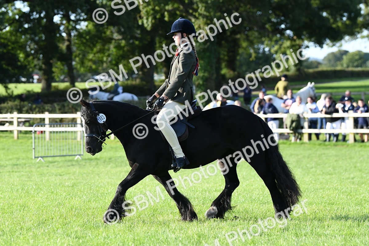 SBM_54084 - S23 - 1st Ridden Mountain & Moorland Pony