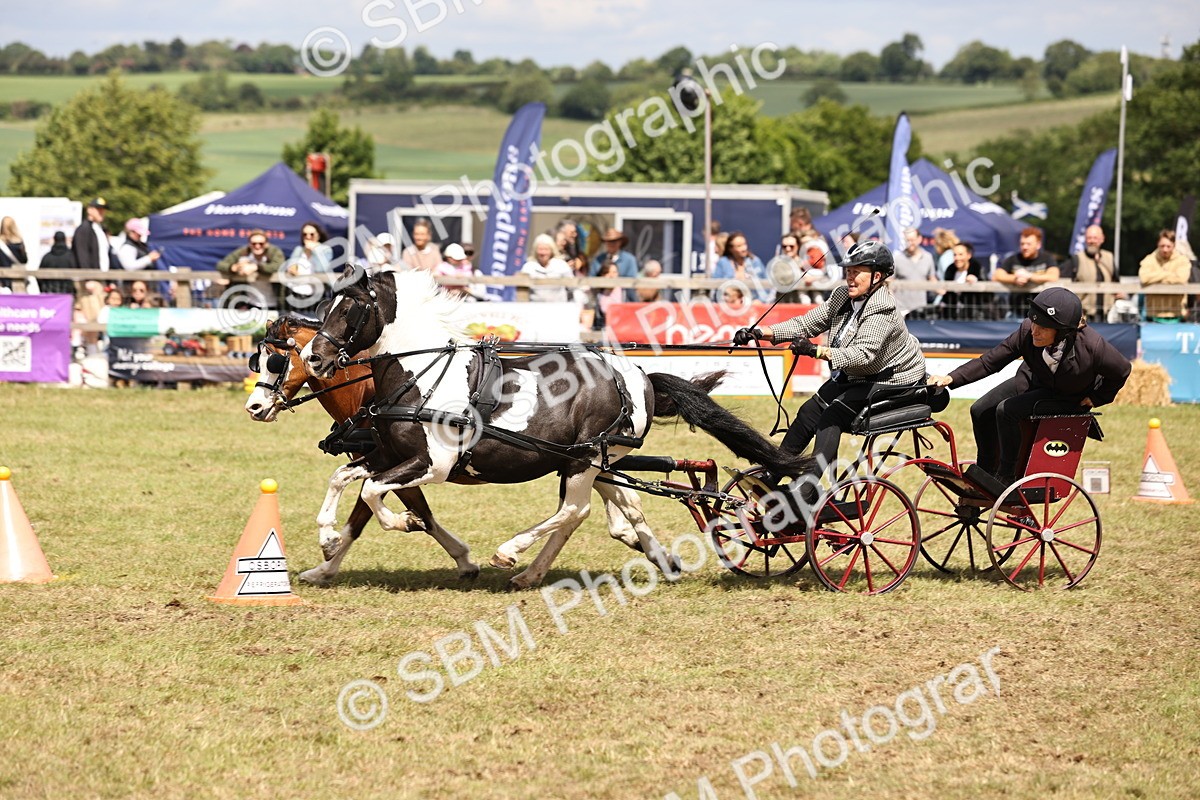 SBM_16041 - Class 91 - Scurry  exceeding 122cms