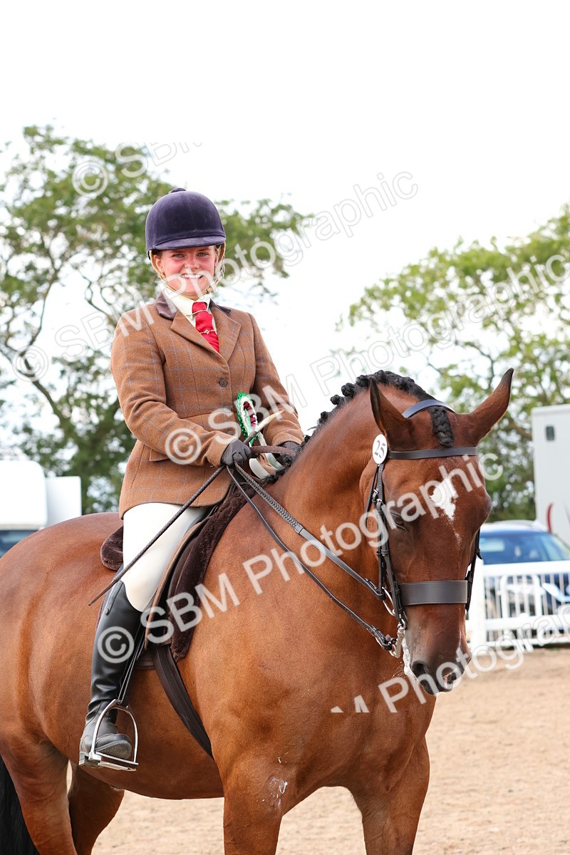 SBM_13579 - Class 212 - Ridden Hunter  - Large