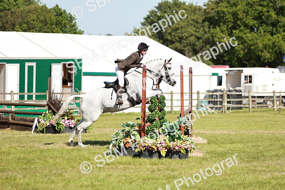 SBM_18858 - Class 114 - RIHS & SEIB Open Working Show Horse