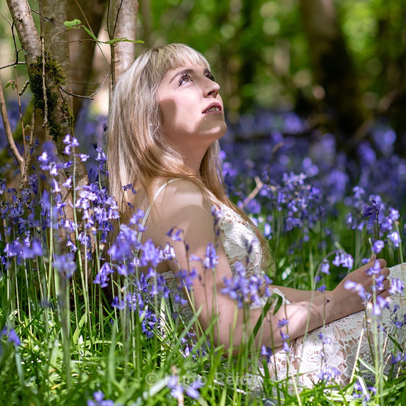  - Dalilah in Bluebells