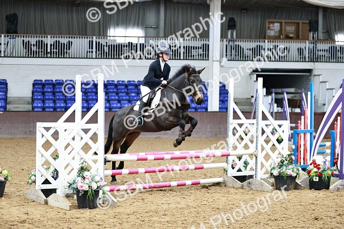 SBM_000097 - Class 1 - Clear Round Show Jumping 80cm