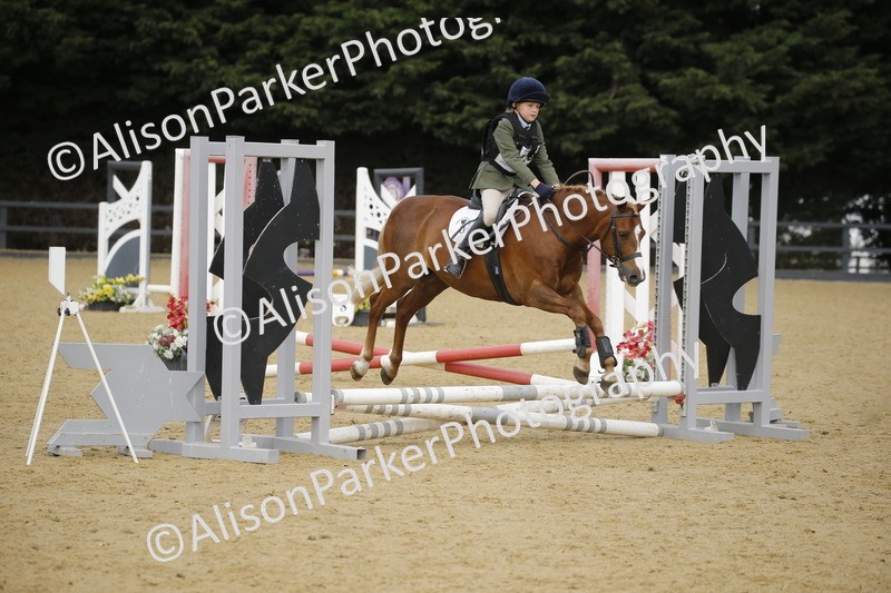 20250622-1510 - 40cm