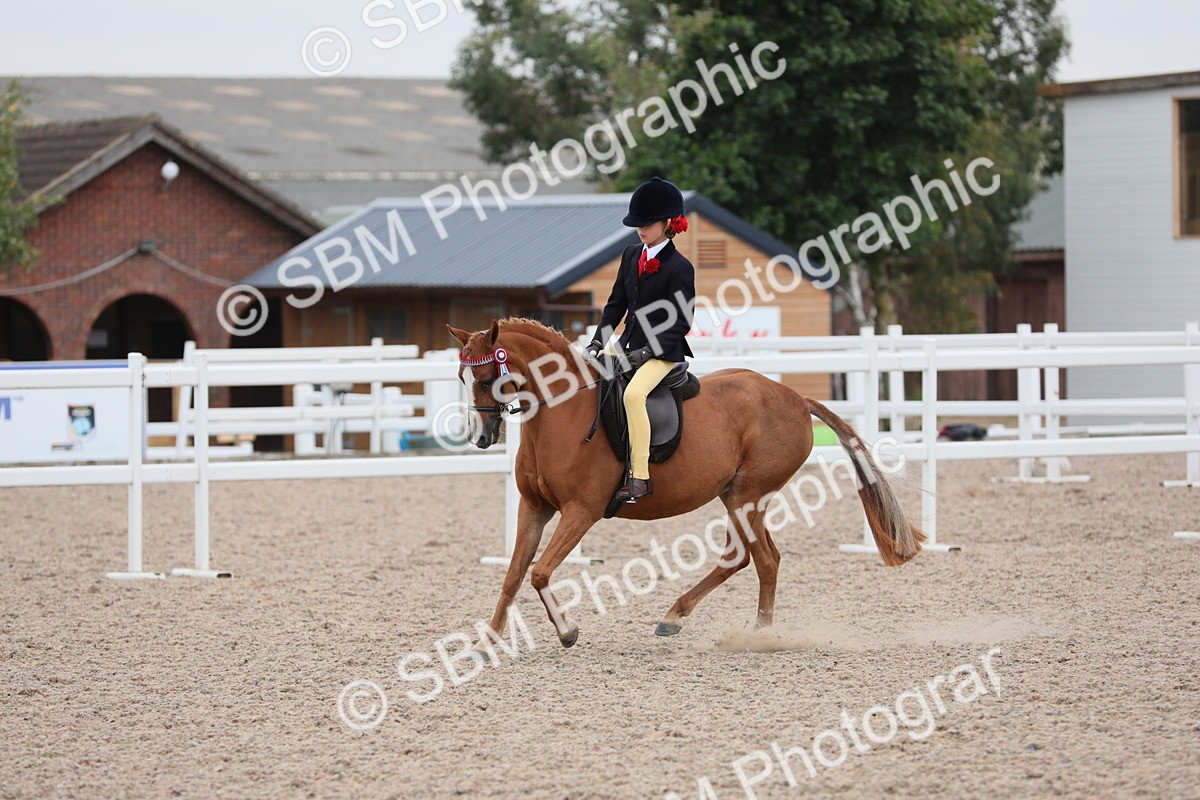 SBM_18155 - Class 316 Best Pony/Rider Combination