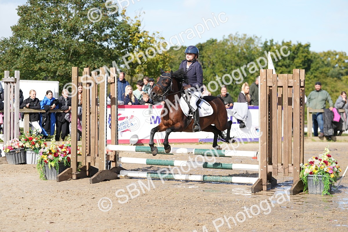 SBM_38475 - J6 - Junior Pony 55cm Championship