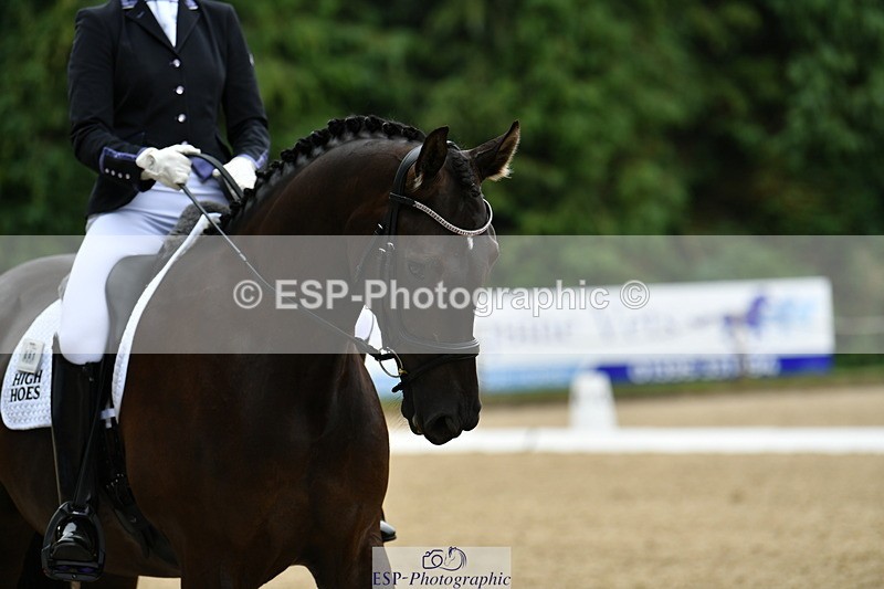 250718A-103606-00198 - 061-Louise.Christie-High.Hoes.Dandelion