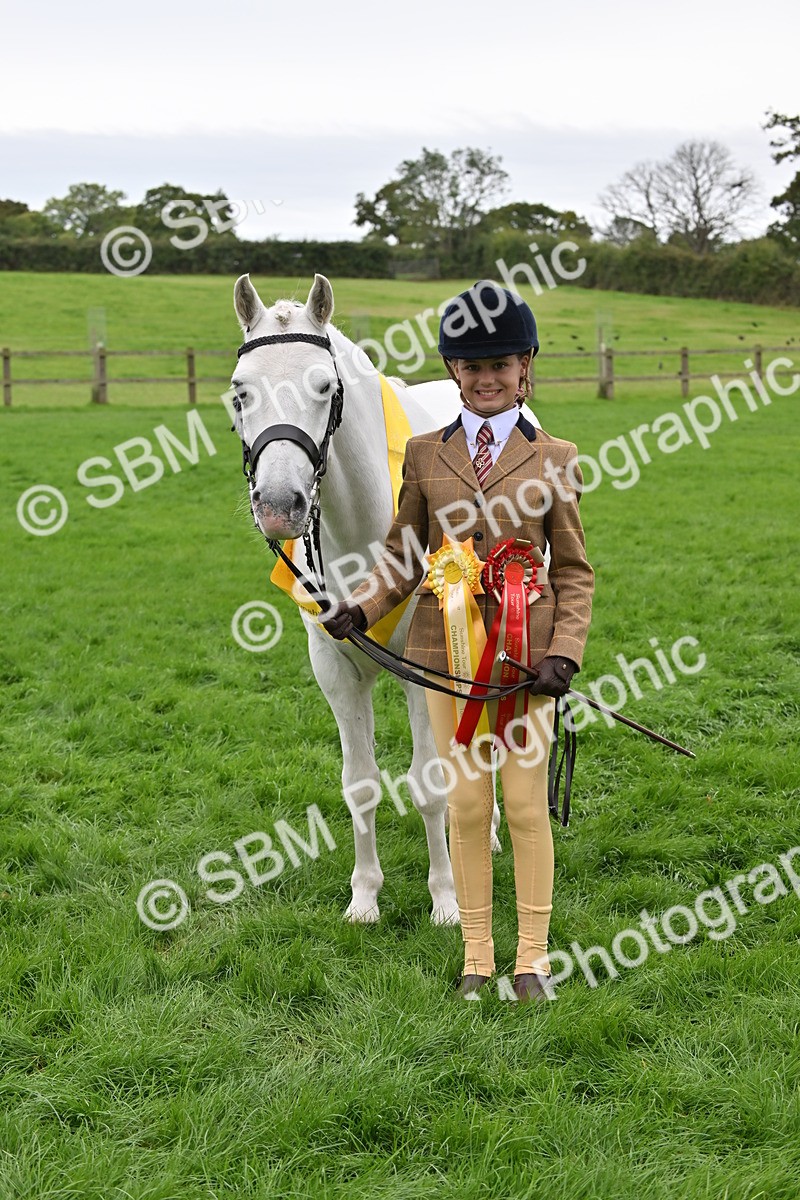 SBM_65056 - In Hand Pony & Younstock Supreme Championship