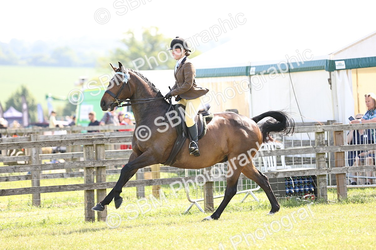 SBM_12916 - Class 75-76 LIHS BSHA Rising Star Hack Riding Horse