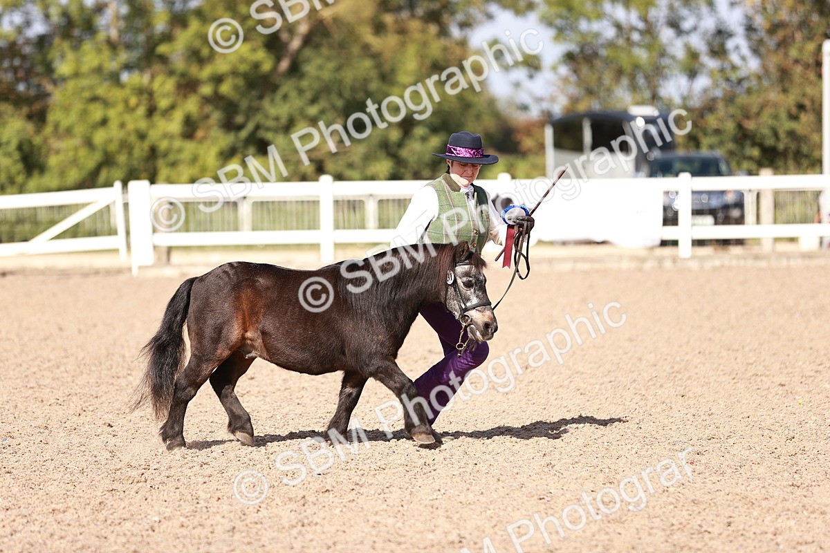 SBM_22848 - Class 705 - IH Combination 65+