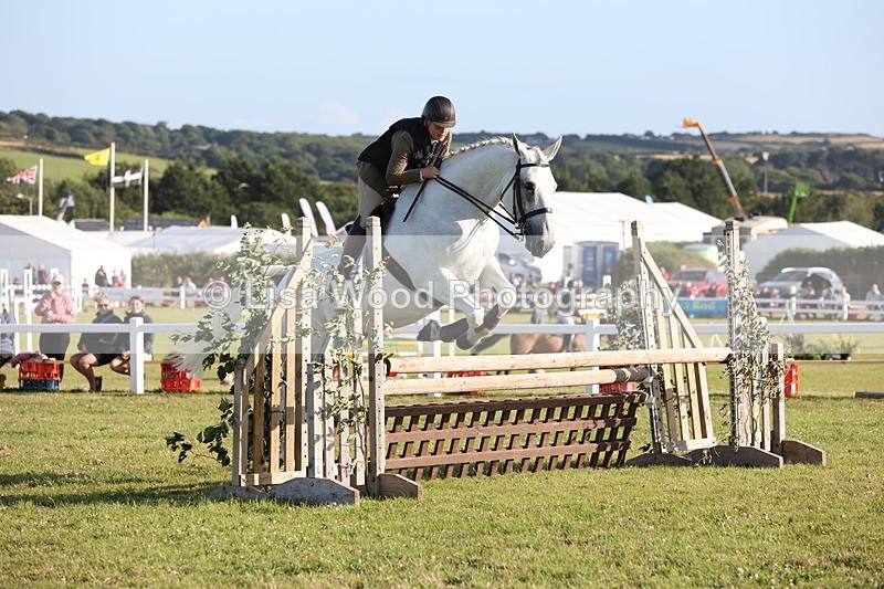 JPP_3336 - Class 22: Working Hunter 90cm