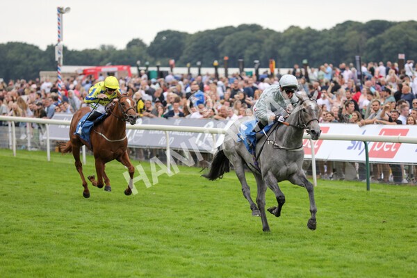 yr24072021r4-18 - Race 4 3.50pm Sky Bet Britain's Most Popular Online Bookmaker EBF Restricted Novice Stakes (Plus 10