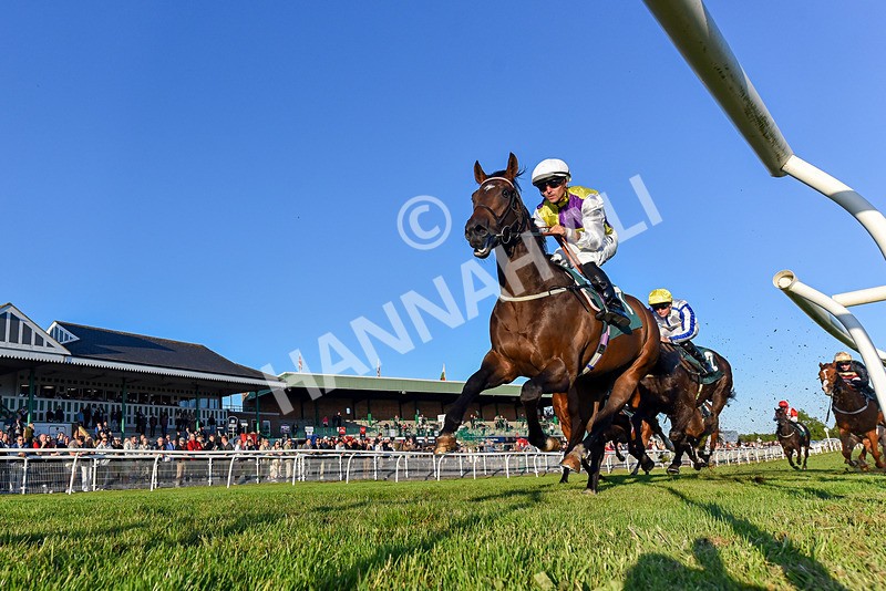 300525-Race 5-Wicket Keeper-3729 - Race 5