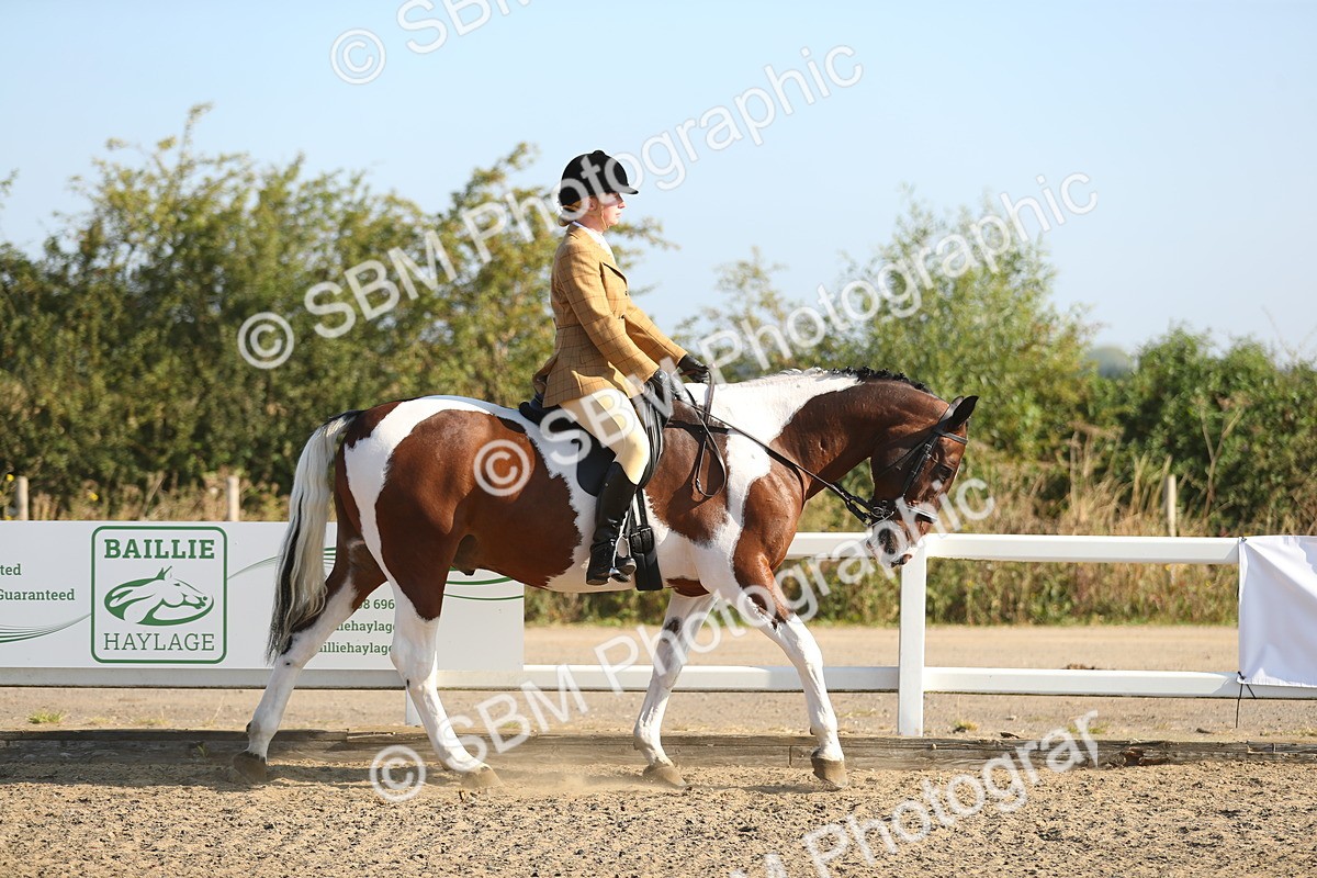 SBM_01109 - Class 42 Ridden Veteran