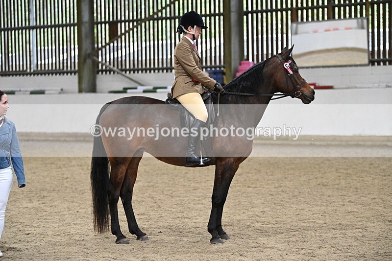 WJ7_4613 - Afternoon Champs