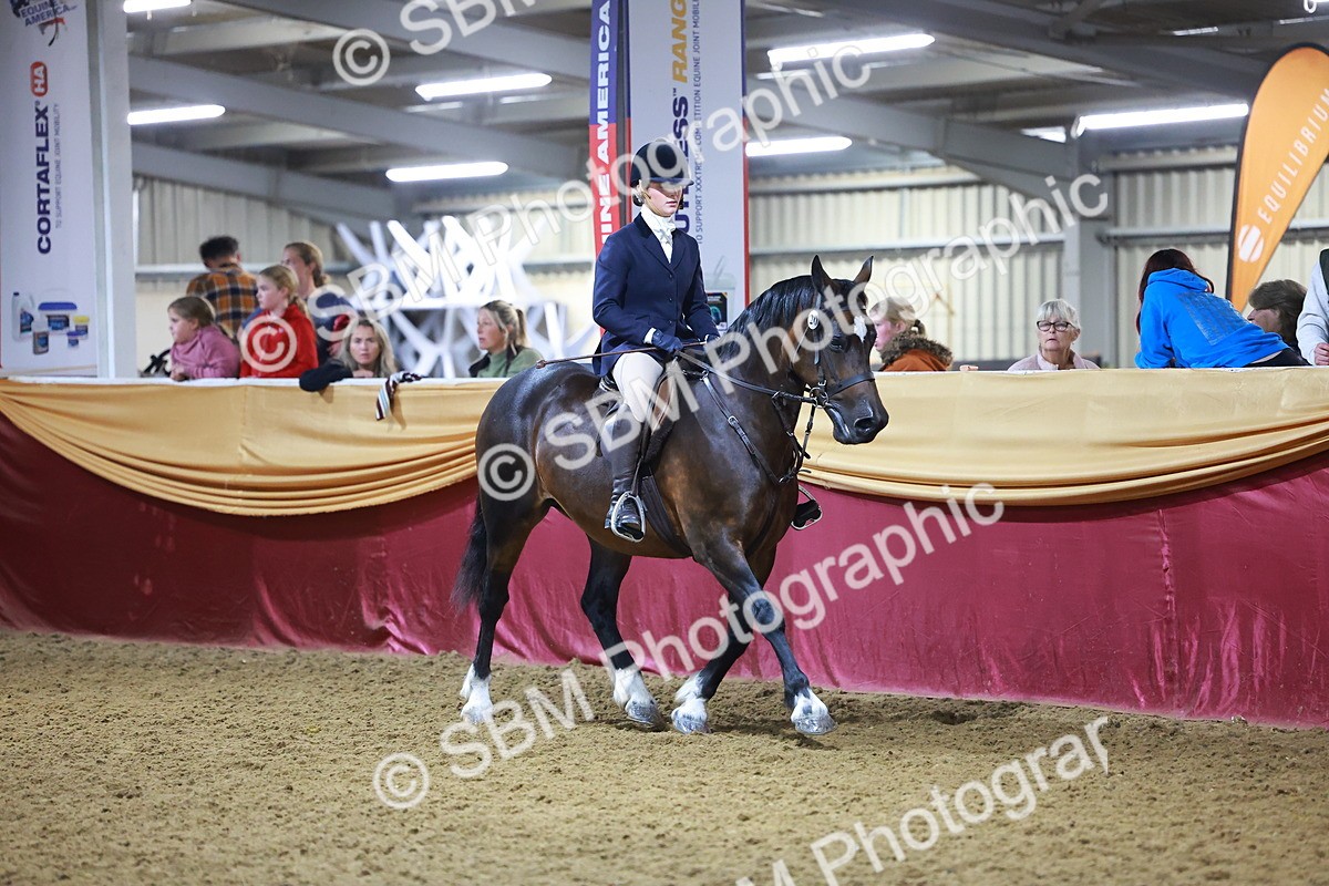 SBM_15696 - Class T - Working Veteran Champ