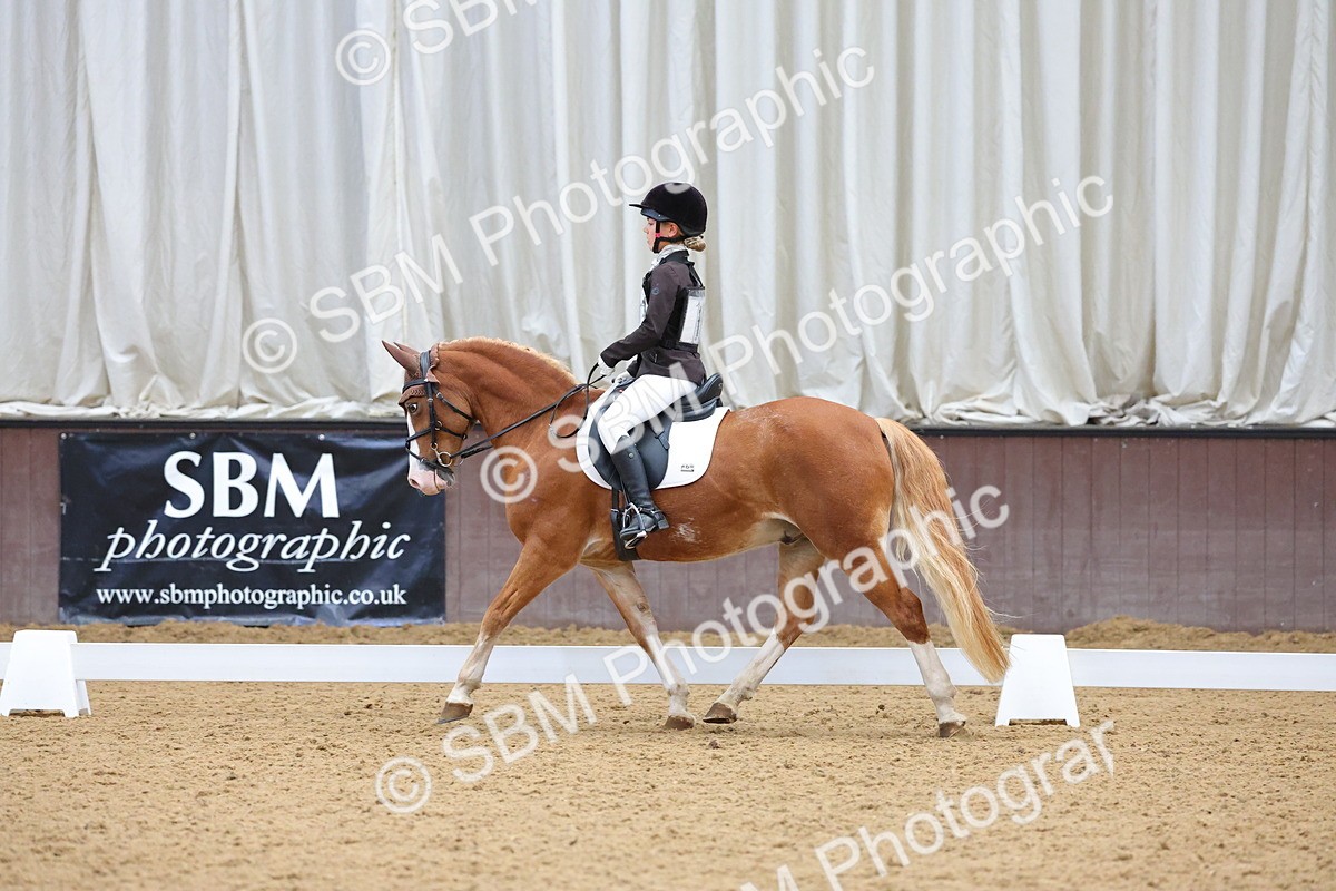 SBM_002951 - Novice